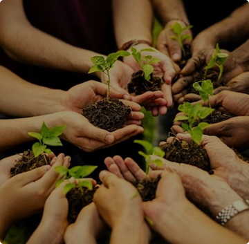 wholesale sock supplier